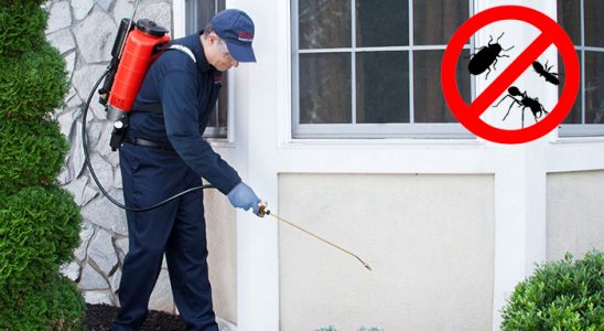 Dalaman Kene İlaçlama böcek ilaçlama ve haşere kontrolü — ilaclama-tr.com